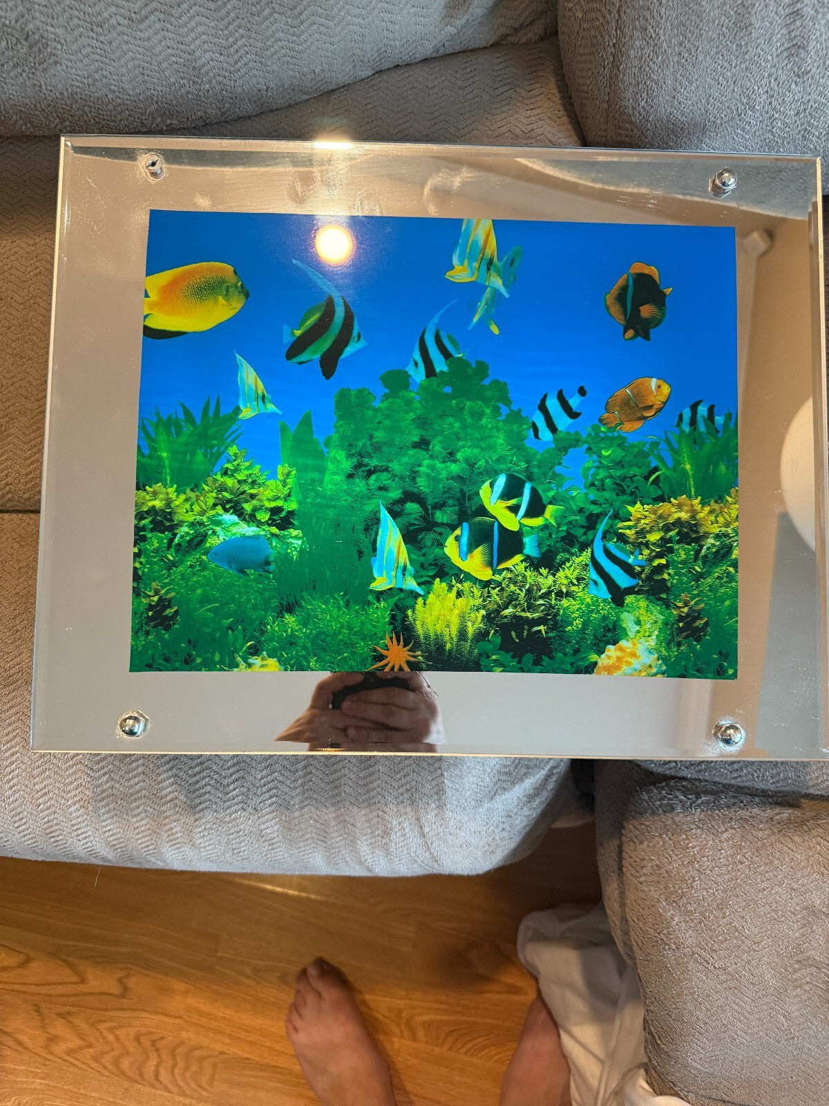 Vintage Lighted Aquarium Picture Tropical Fish Mirror Frame w/ Sound SY41 WORKS