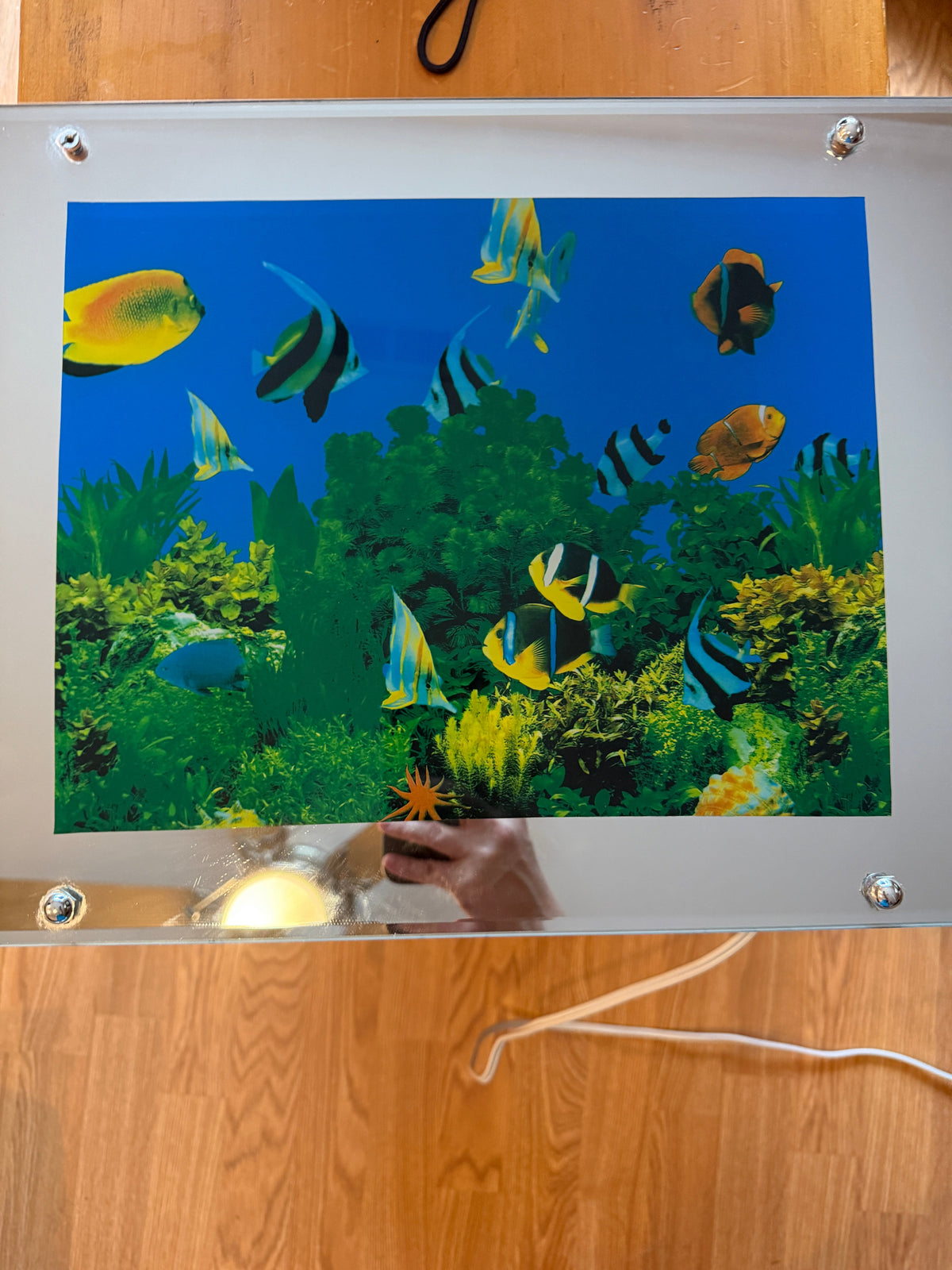 A square acrylic light box displaying a colorful underwater scene with tropical fish and coral reef, photographed from above on a wooden floor.